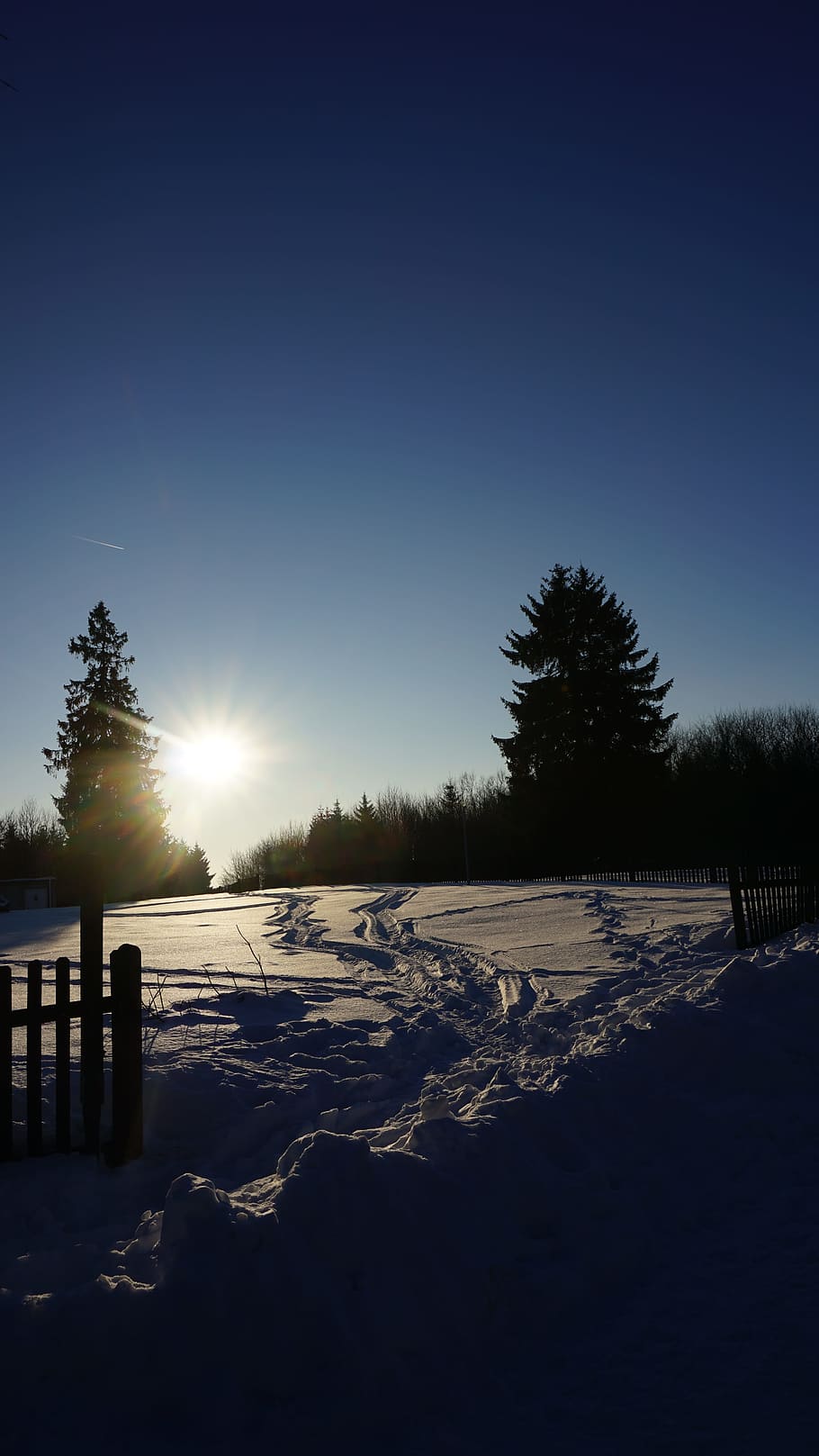 winter, sun, snow, nature, trees, cold temperature, sky, tranquility HD wallpaper