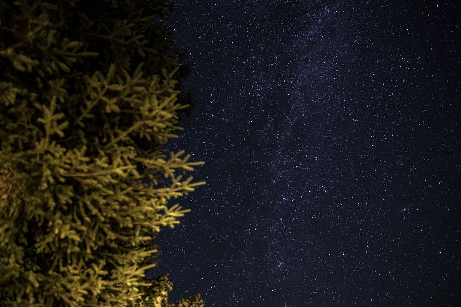 Stars and Galaxy at night in Algonquin Provincial Park, Ontario, HD wallpaper