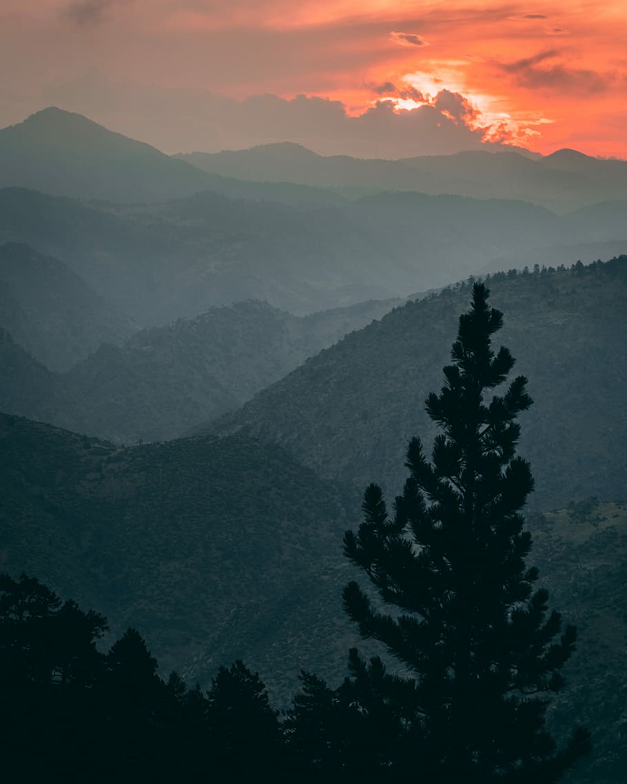 fog covered mountains, high angle photo of trees and mountains HD wallpaper