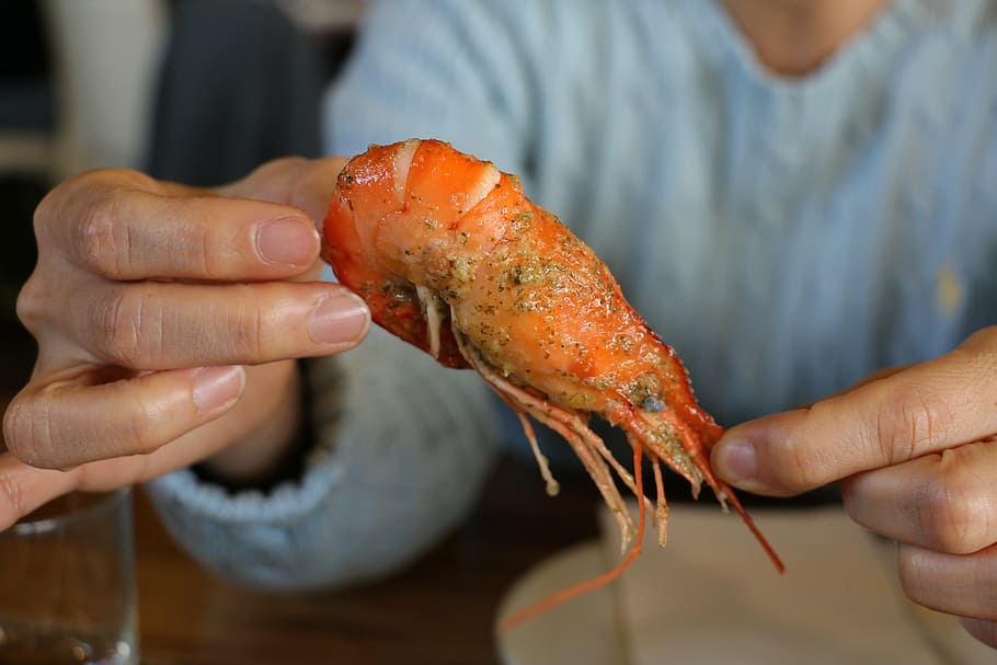 prawn, seafood, delicious, meal, dinner, gourmet, freshness HD wallpaper