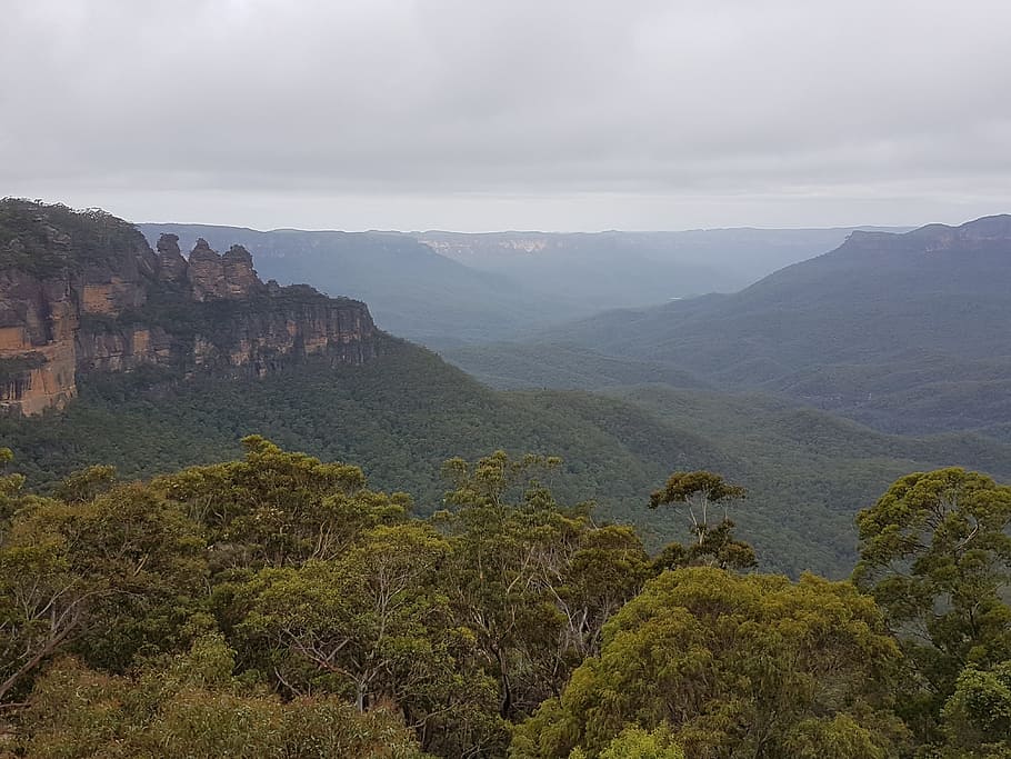 australia, three sisters, blue mountains, forest, landscape, HD wallpaper