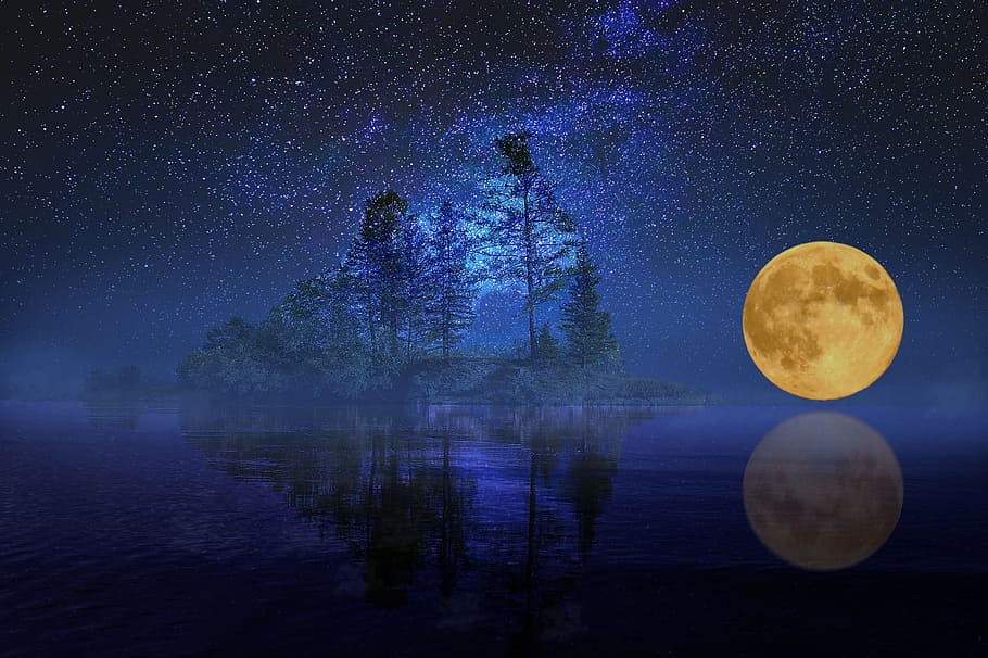 yellow full-moon and trees, full moon, landscape, sea, lake, island