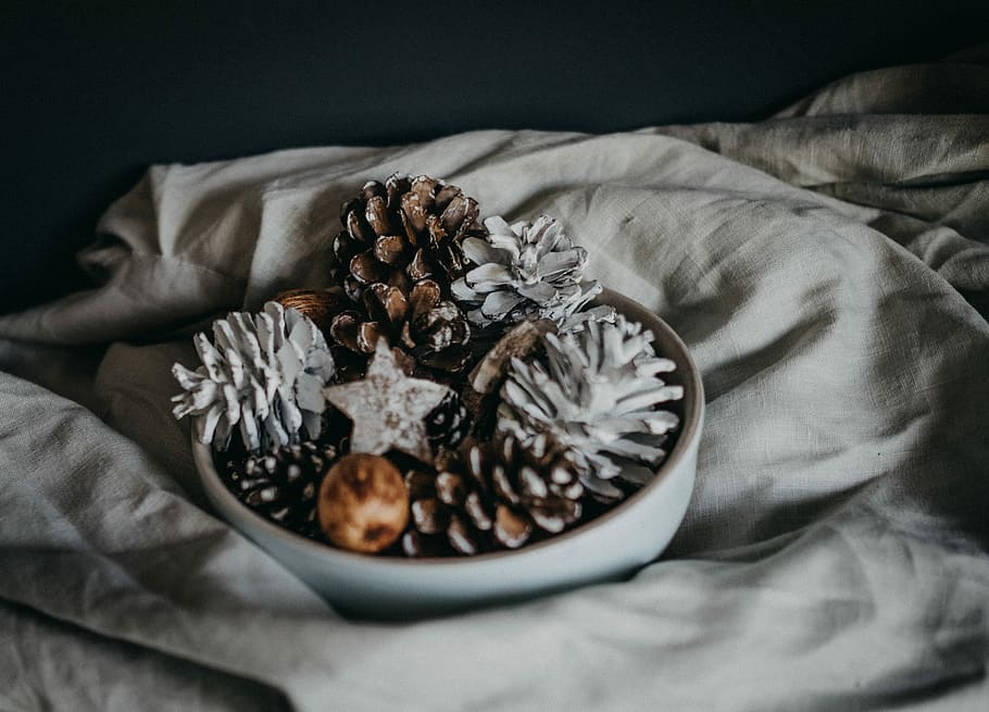 bowl of pinecone, brown and white decor in white ceramic bowl HD wallpaper