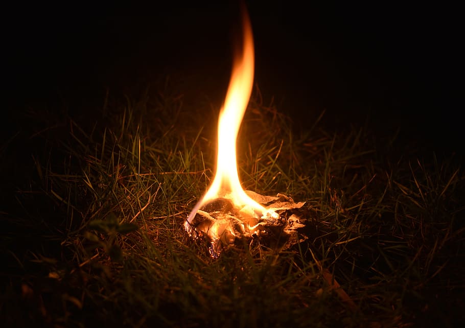 Fire, Flame, Hot, Warm, Orange, Campfire, heat, fire - Natural Phenomenon HD wallpaper