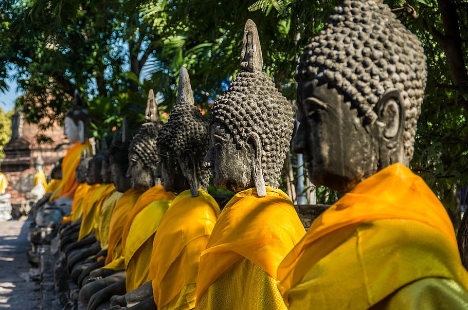 Wat Yai Chai Mongkhon, Thailand, Temple, buddha, yellow, religion, HD wallpaper