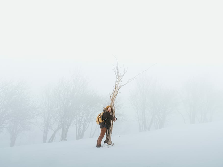 person hugging bare tree while snow, man hugging tree in the middle of snow field HD wallpaper