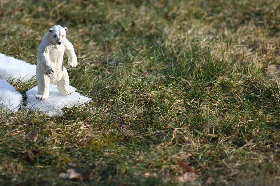white polar bear figurine, snow, animal, predator, climate change HD wallpaper
