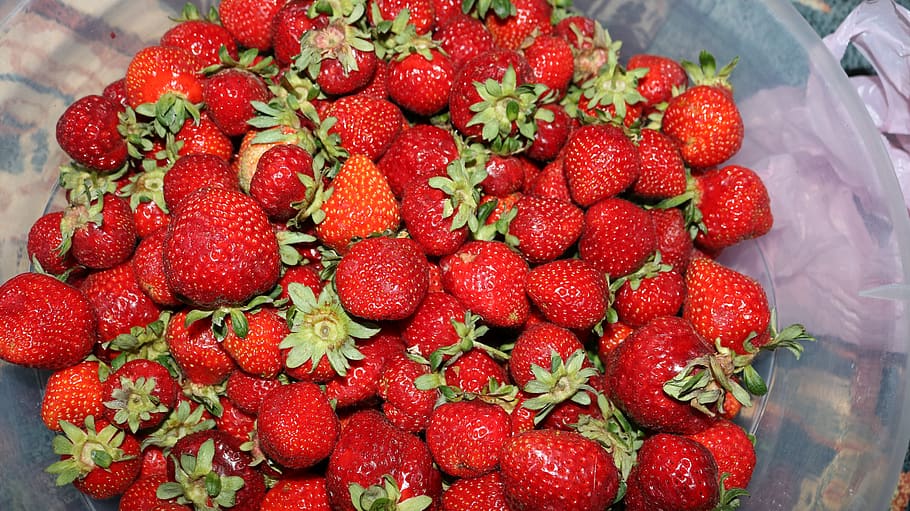 strawberry, red, berry fruit, healthy eating, food and drink HD wallpaper