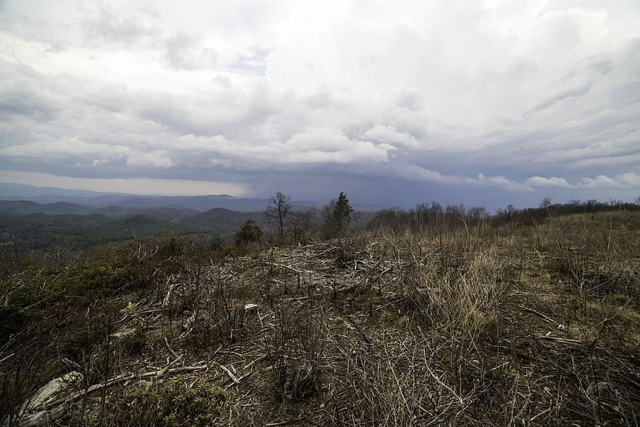 Mountaintop Top Under Clouds at Sassafras Mountain, South Carolina HD wallpaper