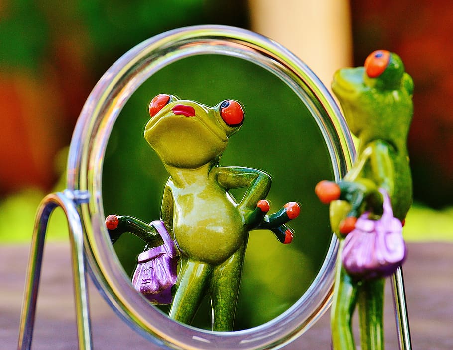 close-up photo of green frog figurine in front of mirror, mirror image HD wallpaper