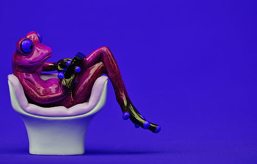 frog, chair, cozy, tablet, pc, computer, cute, sweet, funny HD wallpaper
