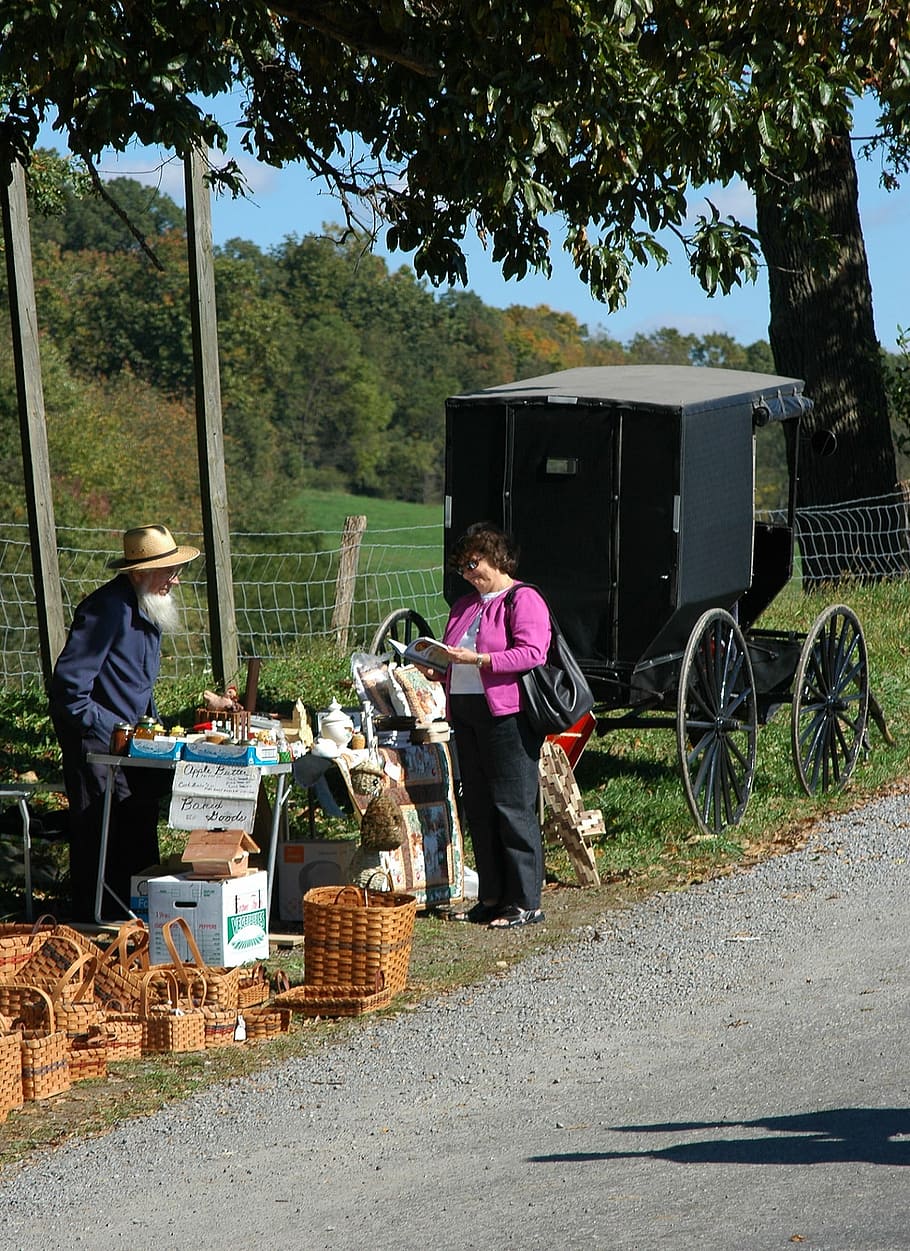 Country Life, amish country, horse and buggy, country road, country, horse,  amish, HD wallpaper | Peakpx