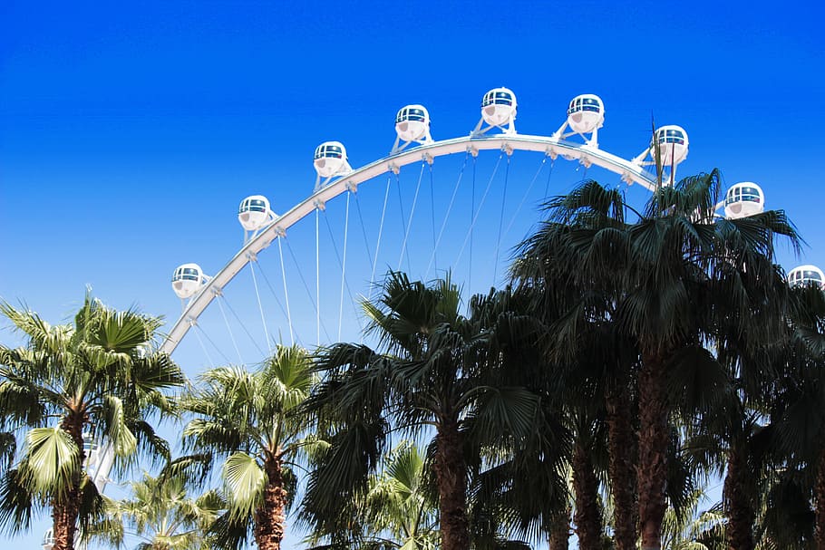 las-vegas-strip-palm-trees-architecture.