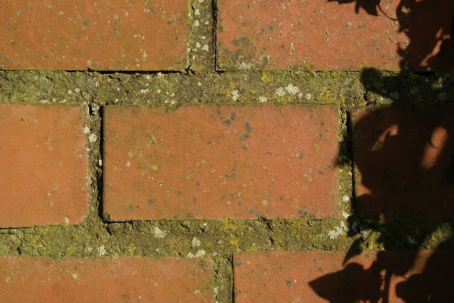 wall, brick, brick wall, red, stone, masonry, full frame, backgrounds HD wallpaper