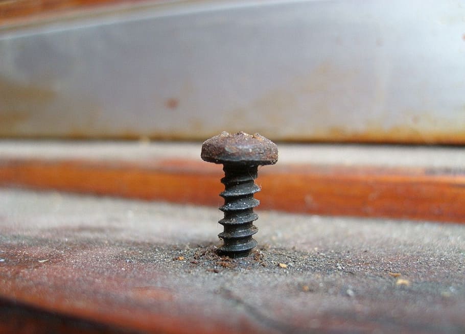 screw, rusty, metal, weathered, old, metallic, iron, steel