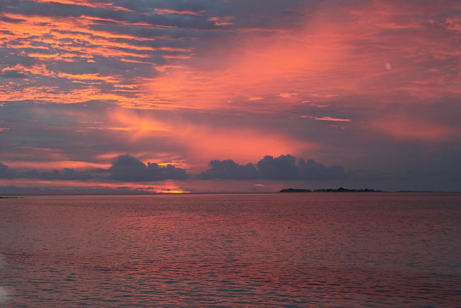 sunset, palm trees, evening sky, afterglow, mood, beach, sea HD wallpaper