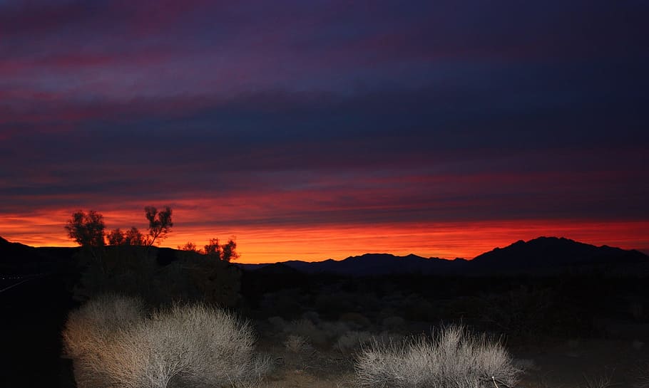 Sunset, Landscape, Mountains, Plants, silhouettes, desert, nature HD wallpaper