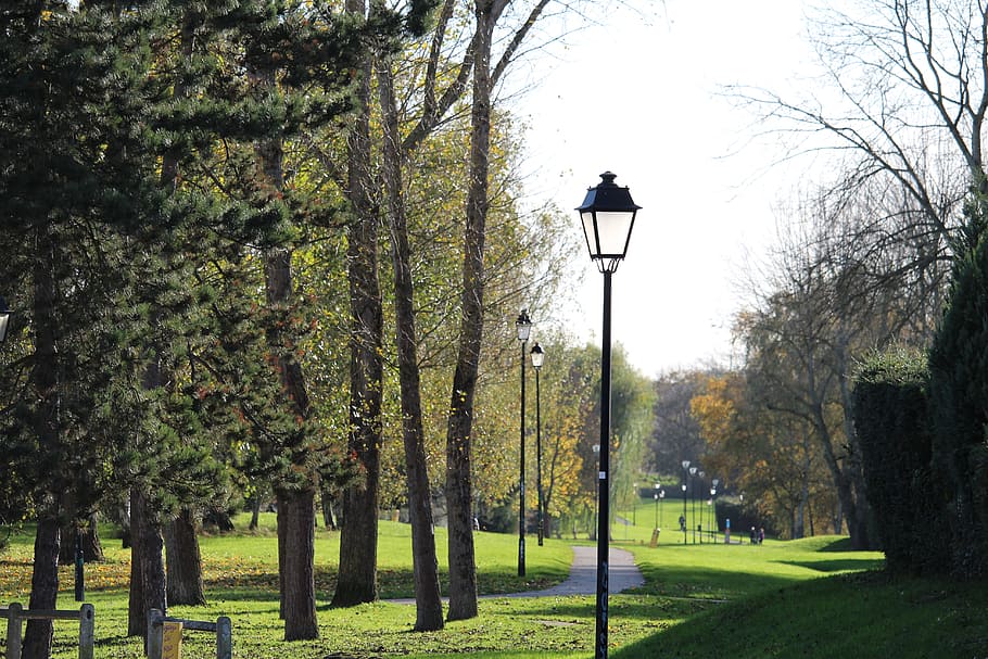 garden, path, tree, green, park, based, nature, grass, floor lamp HD wallpaper