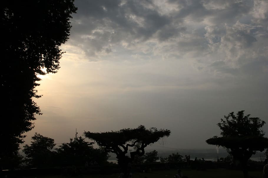 Sunlight, Trees, Shadow, Landscape, nature, weather, outdoor HD wallpaper