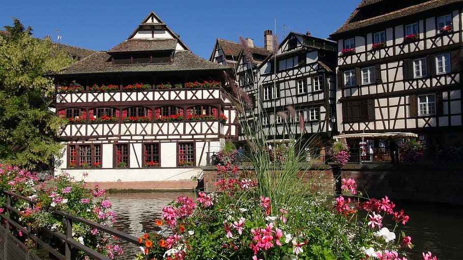 red and white wooden house near body of water, strasbourg, petite france, HD wallpaper