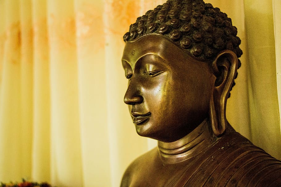 Buddha, Mahamevnawa, Sri Lanka, statue, buddhism, sculpture, HD wallpaper