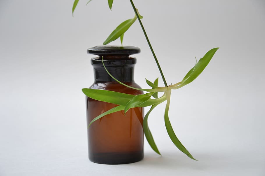 green leaf plant above amber glass bottle, shtanglas, pharmacy, HD wallpaper