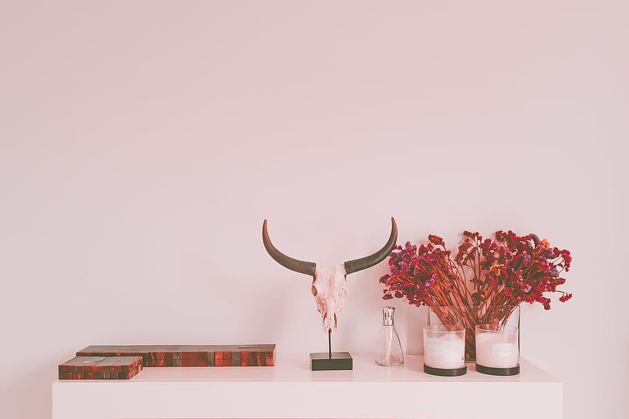 gray animal skull beside red flowers, house, interior, design HD wallpaper