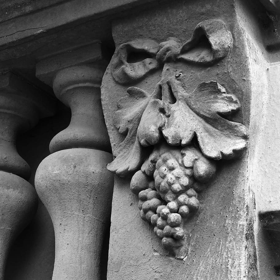 facade, cluster, relief, grapevine, historic house, detail HD wallpaper