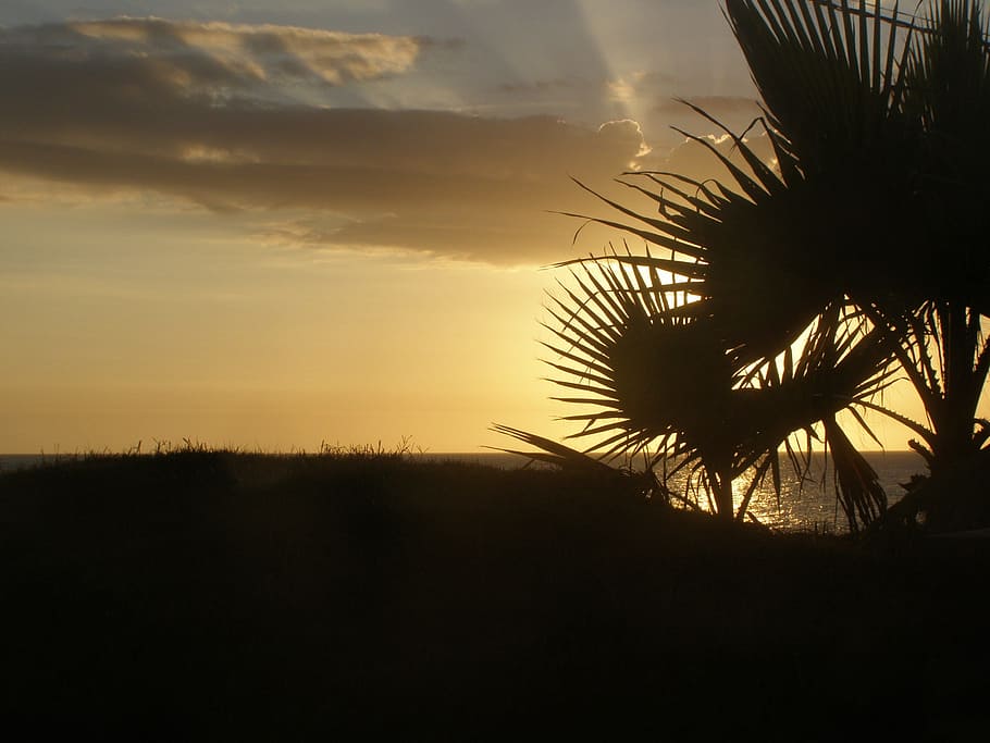 silhouette, sun, summer, sunset, sky, clouds, person, beach HD wallpaper