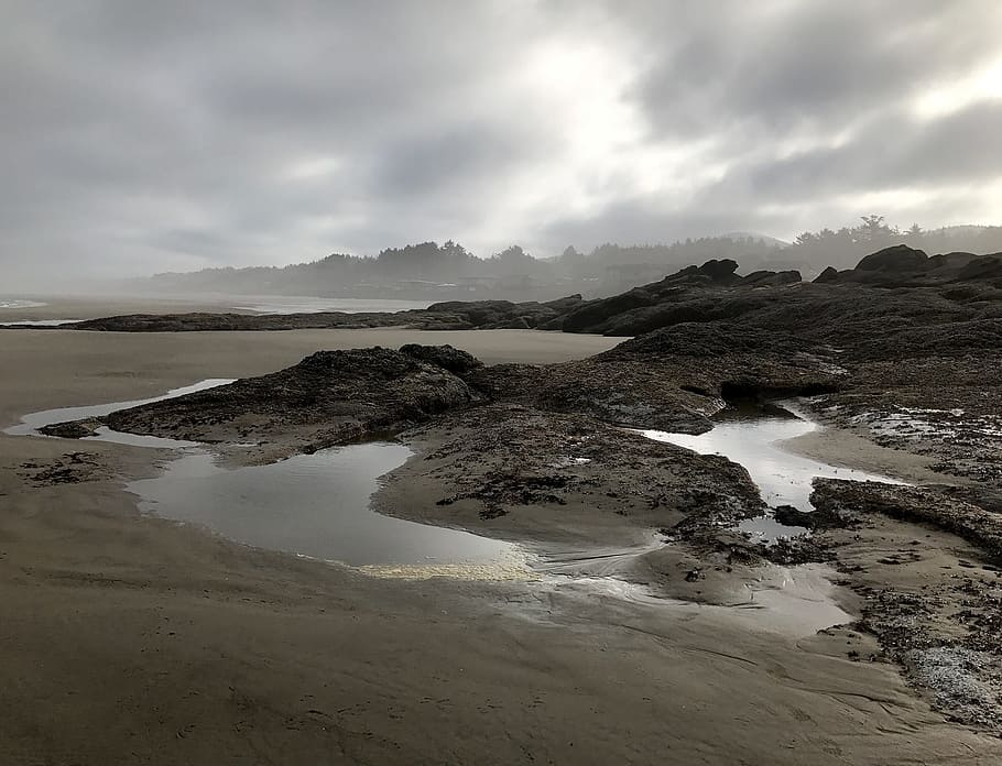 beach, oregon, sand, low tide, oregon coast, water, cloud - sky HD wallpaper
