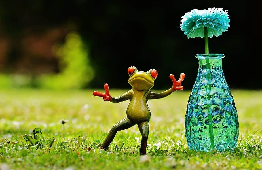 green tree frog beside teal flower vase, gesture, peace, funny HD wallpaper