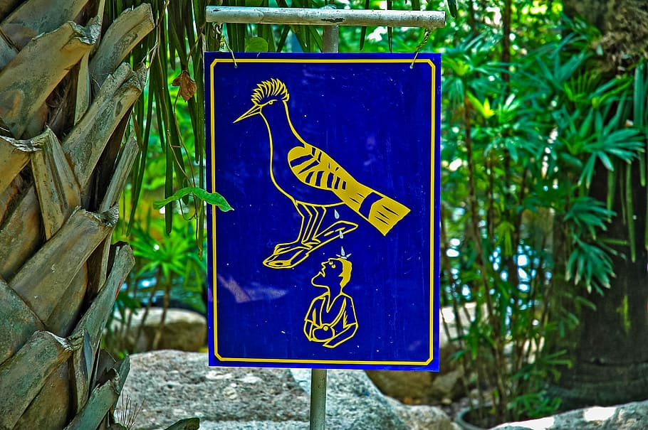 Note, Bird, warnschild, blue, wheelchair, differing abilities HD wallpaper