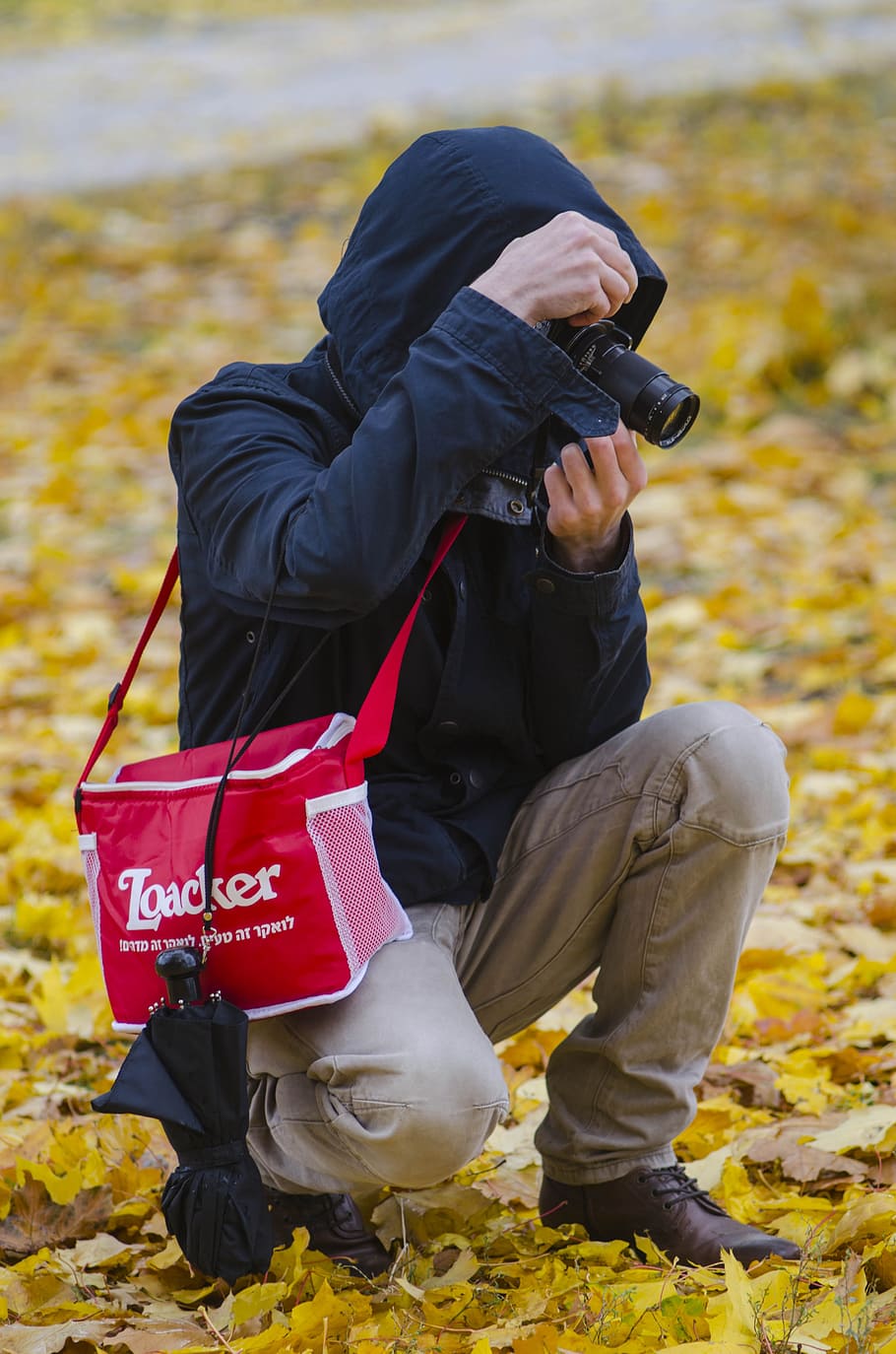 photographer, process, work, act, autumn, foliage, nature, fallen foliage HD wallpaper