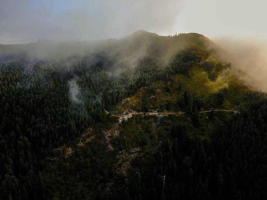 green trees mountain taken at daytime, aerial photo of burning forest during daytime HD wallpaper