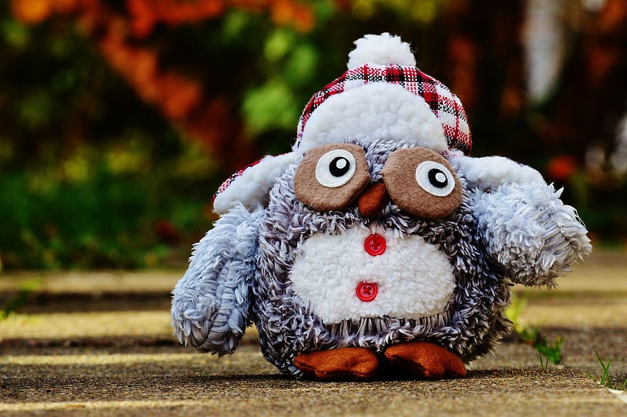 owl, autumn, winter, cap, funny, plush, cute, bird, buttons HD wallpaper