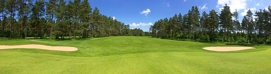 green field grass surrounded by tress, golf, fairway, forest HD wallpaper