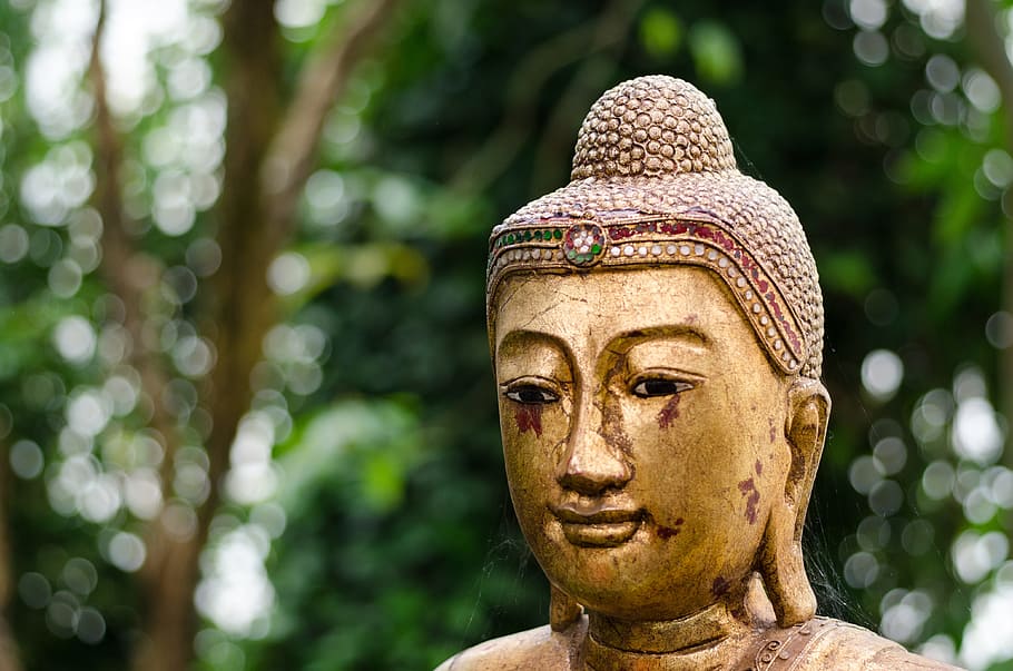 Gautama Buddha statue, asia, religion, buddhism, thailand, temple