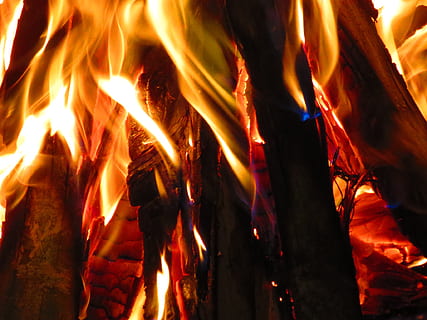 wood, fire, campfire, bonfire, heat, lena, flames, hot, firewood burned HD wallpaper