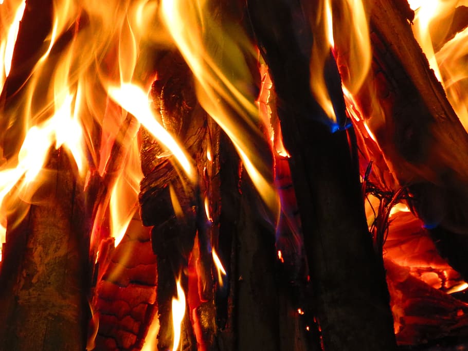 wood, fire, campfire, bonfire, heat, lena, flames, hot, firewood burned HD wallpaper