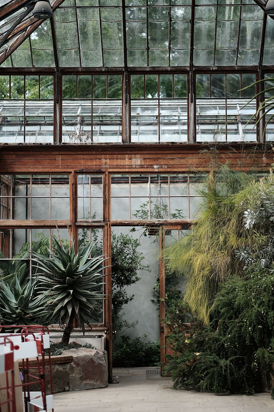 greenhouse, structure, plants, nature, garden, architecture HD wallpaper