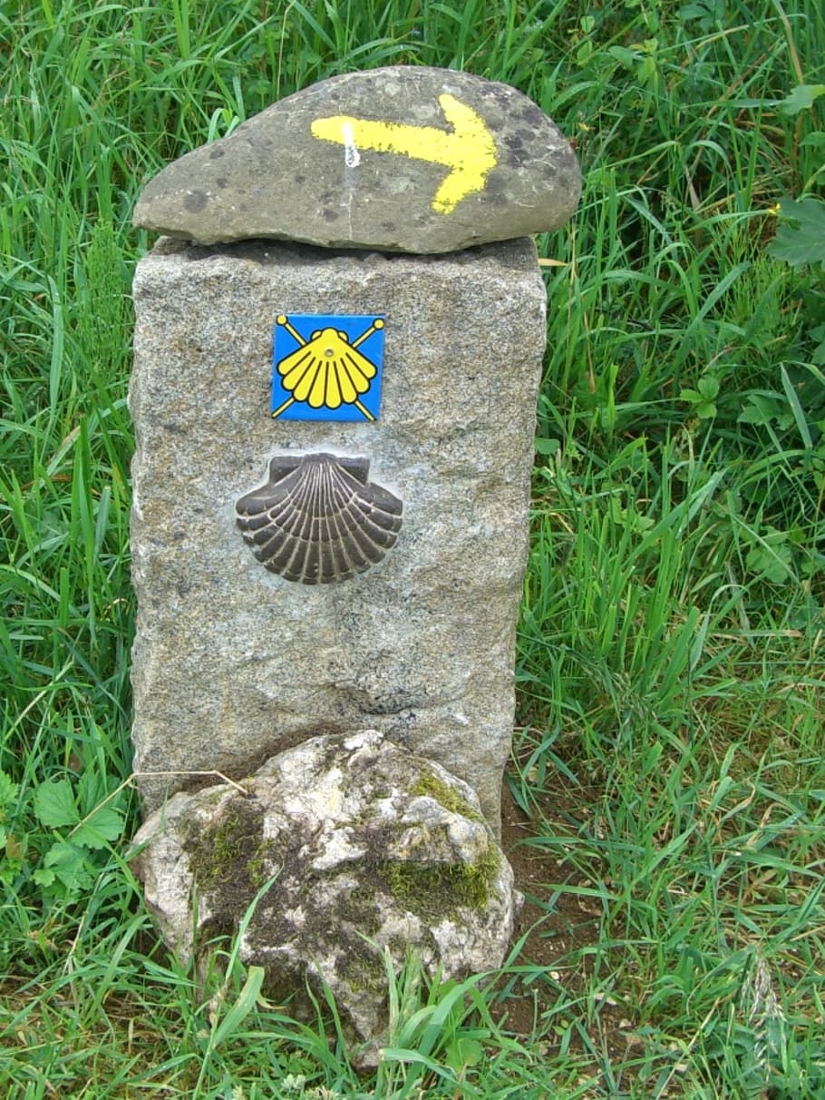 directory, signposts, stone marker, jakobsweg, scallop, grass HD wallpaper