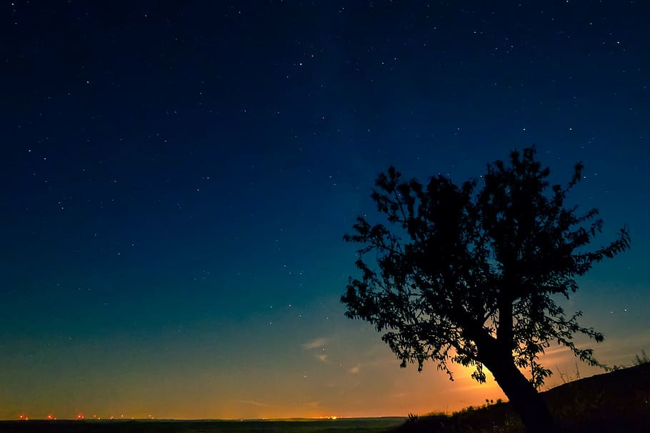 low light photography of silhouette of tree, moonlight, astronomy, HD wallpaper