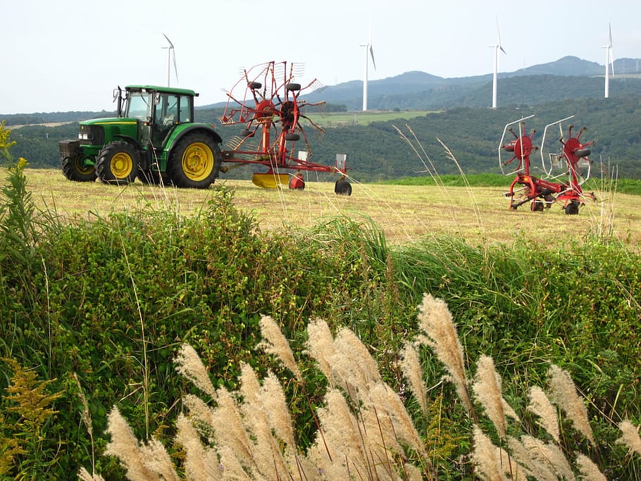 pasture, tractor, japanese pampas grass, agriculture, field, HD wallpaper