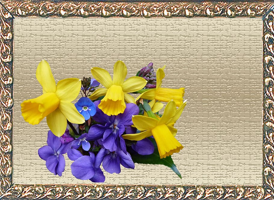 greeting card, spring, flowers, flowering plant, yellow, beauty in nature HD wallpaper