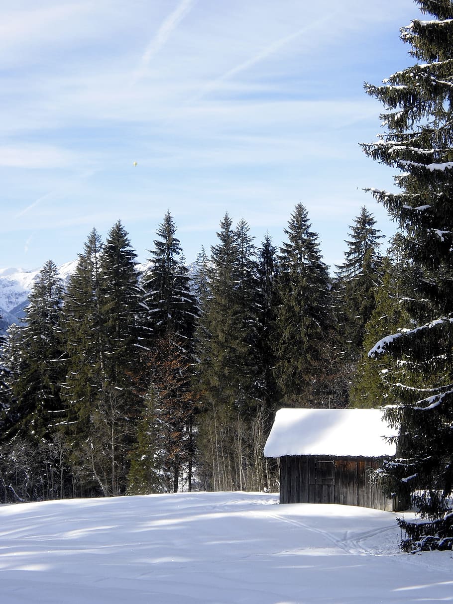 Winter, Snow, Forest, Hut, Nature, alpine, riezlern, austria HD wallpaper