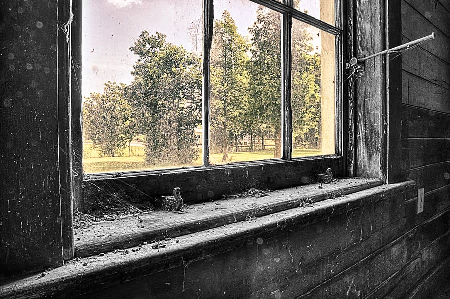 closed brown wooden framed windowpane, black, color, light HD wallpaper