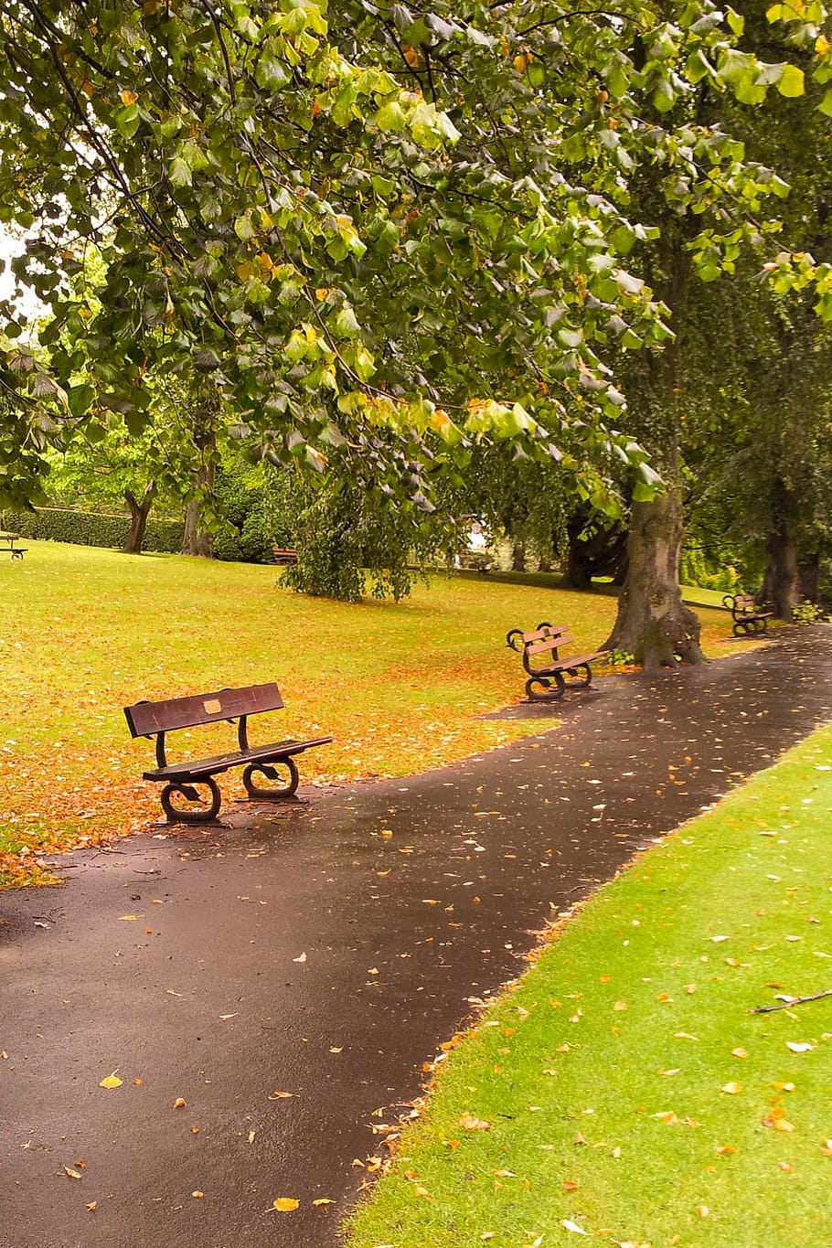 autumn, fall, foliage, bench, landscape, leaf, leaves, nature HD wallpaper