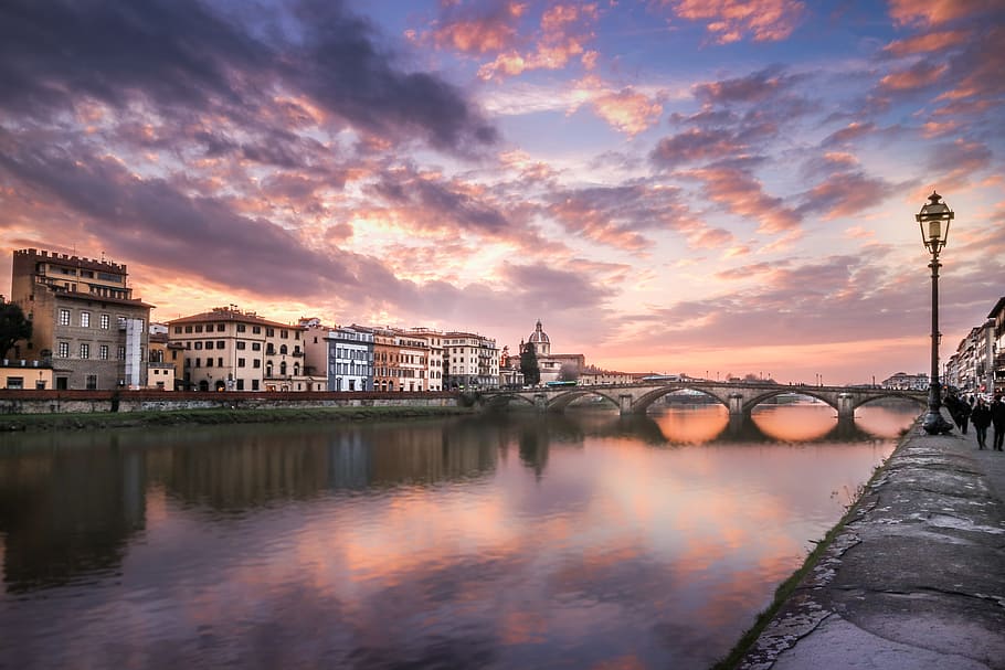 architectural photography of concrete bridge, landscape photo of bridge and buildings HD wallpaper
