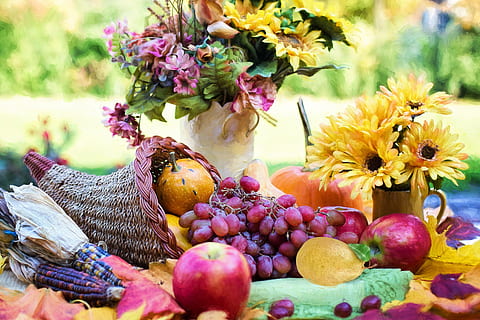 variety of fruits and flowers at daytime, cornucopia, thanksgiving HD wallpaper