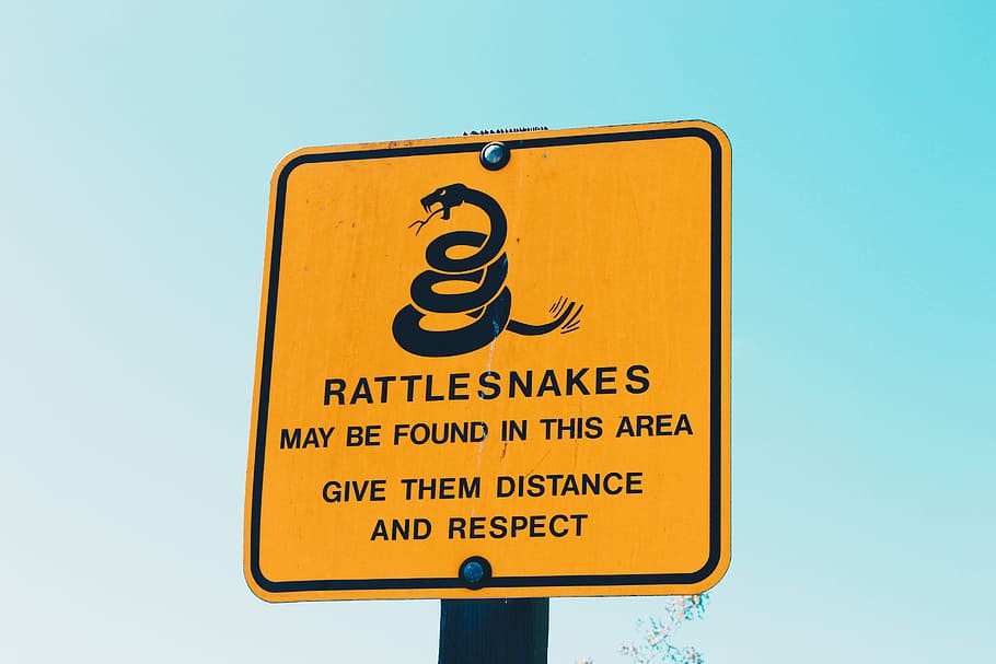 Rattlesnakes may be found in this area give them distance and respect signage, photo of Rattle Snakes signage HD wallpaper